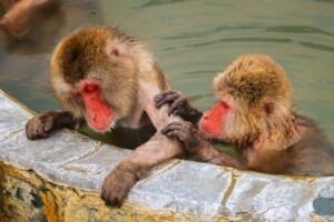 入浴によるリラックス効果イメージ